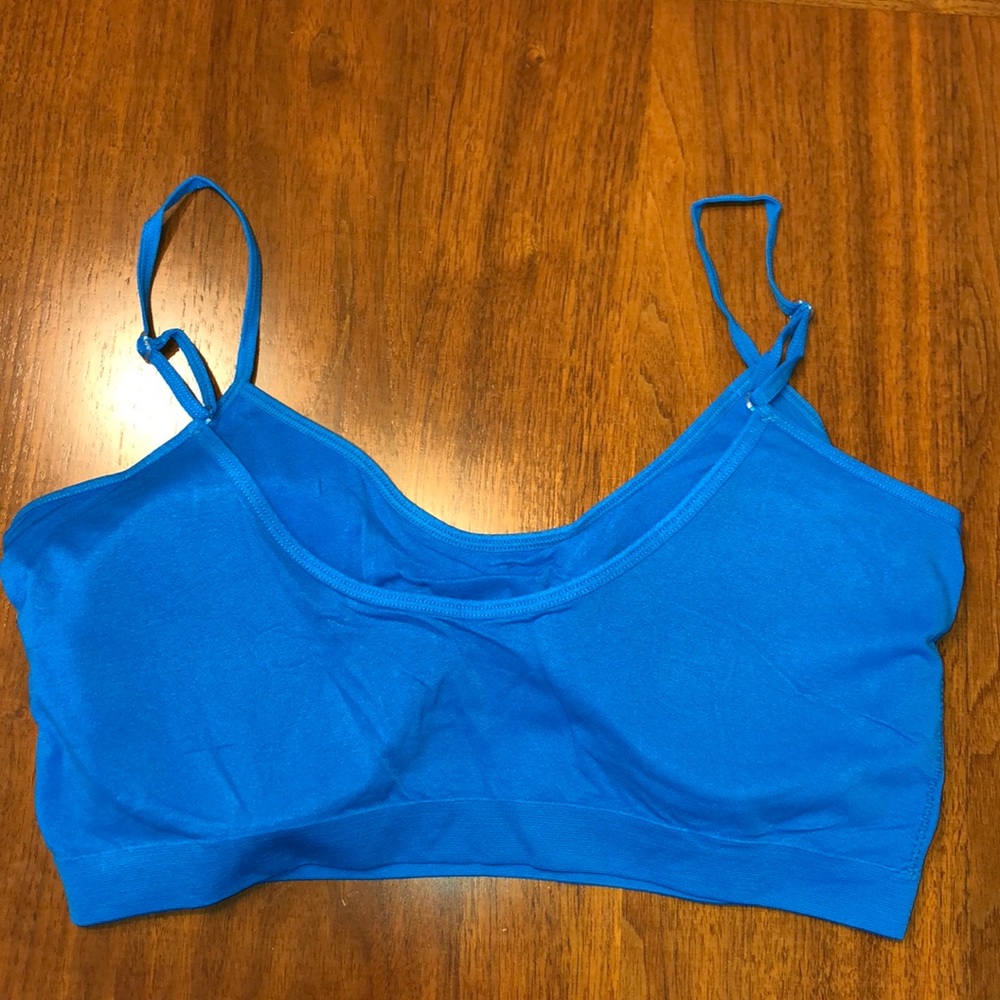 Turquoise Plus Size Padded Seamless Bra - Picture 2 of 2